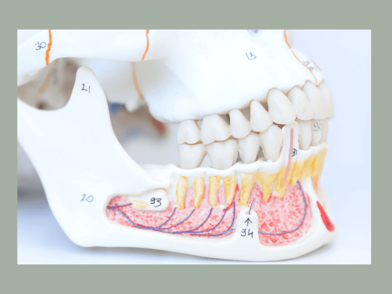 rotary endodontics tool at warners bay dental office